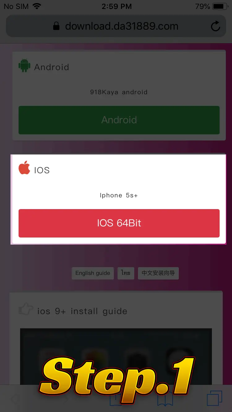 ios version