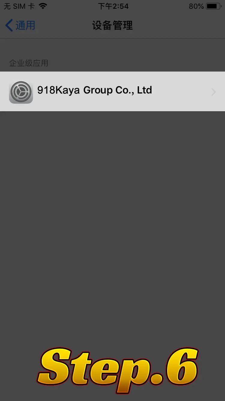 ios install step 1 open setting