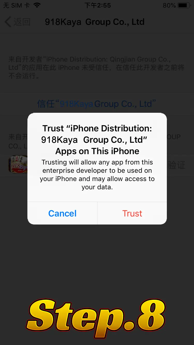 ios install step 3 open device management