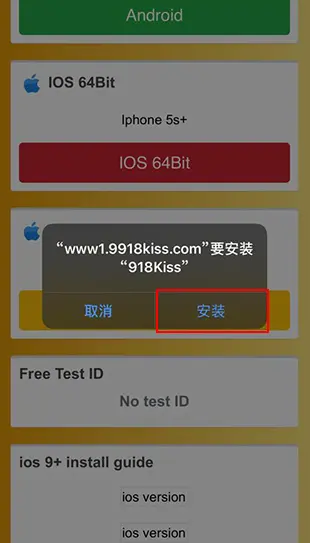 ios version install